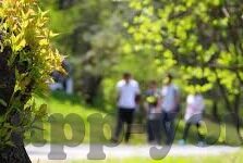 91麻豆无毒不卡-在数字世界里，寻找纯粹的娱乐空间