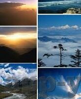 av人妻区-探索成人内容与网络文化的边界，AV人妻区的现象与思考