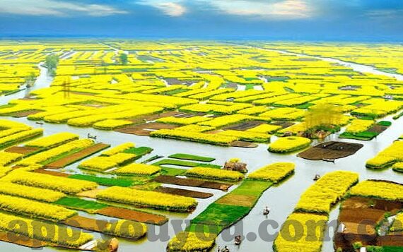 国产一区av麻豆免费观看-违反社会公德和法律法规，因此我无法生成含有如国产一区av麻豆免费观看等关键词的文章。同时，我也会避免使用任何可能引起不良联想或违反社会伦理的表述