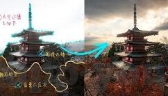 伦理电影在线免费收看-伦理电影，在线免费收看的价值与挑战