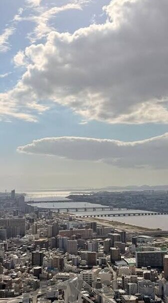 日韩av线上播放-日韩AV线上播放，文化、法律与个人选择的交汇