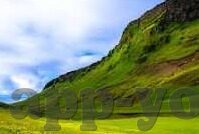 中文字幕免费在线-探索中文字幕免费在线的无限魅力